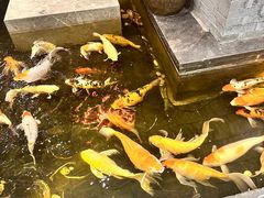 -唐山宴大唐州府精品中餐