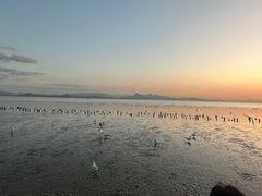 -深圳湾公园(南山区)