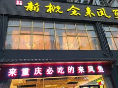 -新概念来凤鱼(璧山店)