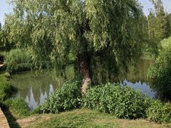 -捞渔河湿地公园