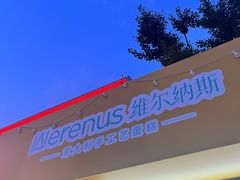 -维尔纳斯·生日蛋糕动物奶油冰淇淋蛋糕(人大店)