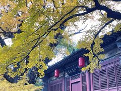 -晋祠公园