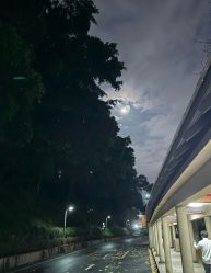 -爱帝宫月子中心(罗湖别墅院)