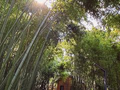 -苏州河梦清园环保主题公园