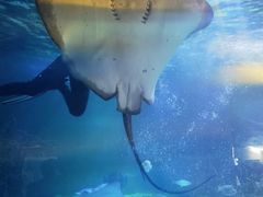 -常州海昌海洋探索馆