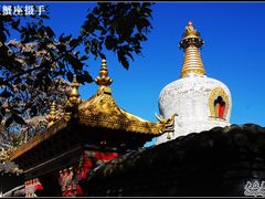 -护国法轮寺