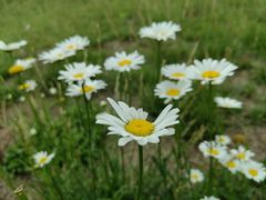 -汉长安城未央宫国家考古遗址公园