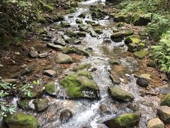 -江西阳明山国家森林公园