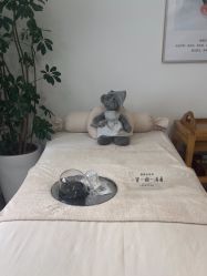 -薇薇安花系SPA