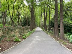 -上海滨江森林公园