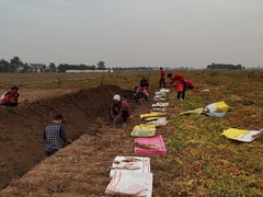 -解家河南菜(商鼎路店)