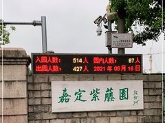 -嘉定紫藤园