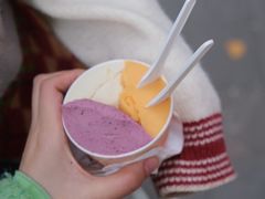 柿子Persimmons-Dip in Gelato(富民路店)