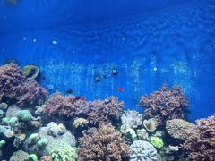 -珠海长隆海洋王国