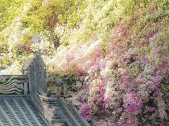 -深圳国际园林花卉博览园