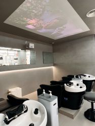 -Z.X HAIR SALON张新美业