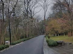 -杭州植物园
