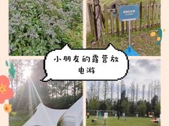 -前小桔亲子创意农场·草莓采摘·露营烧烤