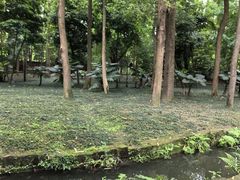 -成都杜甫草堂博物馆