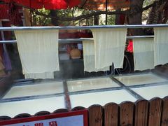 -大鹅岛绿色生态美食园