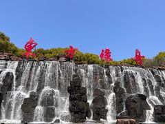 -东方绿舟景区