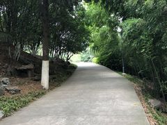 -菊花台公园