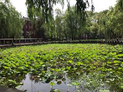-四川大学(望江校区)