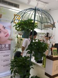 点击看大图 -美肌工坊皮肤管理