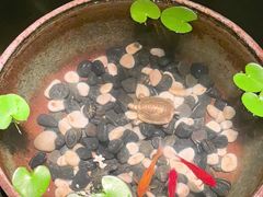 -曲水兰亭(北京四惠店)