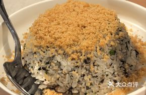 Fish Grandma's Meat Flavored Fried Rice