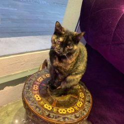 -RL Nail·瑞丽美甲美睫品牌原创店