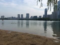 -天鹅湖体育公园