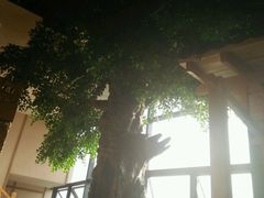 -汤森悠生活文化汤(江宁万达店)