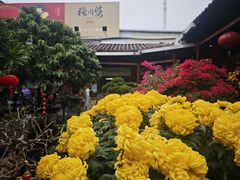 -猪肉婆私房菜(容桂总店)