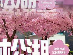 -东莞松山湖万象汇