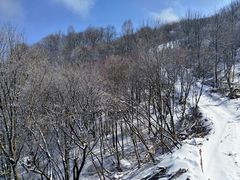-鳌山滑雪度假区