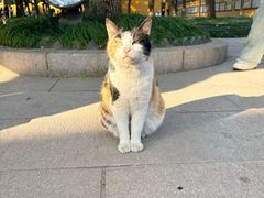 -西园寺素食(西园弄戒幢律寺店)