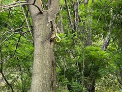 -青州市云门山风景区