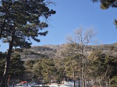 -北京西山国家森林公园