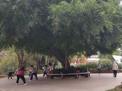 -人民公园(罗湖区)