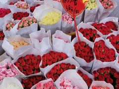 -溪岸路花鸟市场