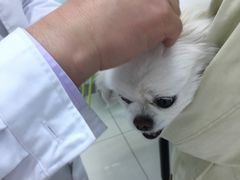 -纳吉亚猫专科动物医院博雅分院