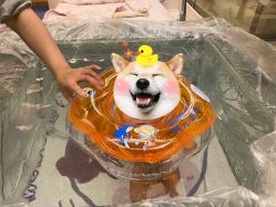 -金芙美月子中心(财富别墅店)