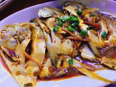 红烧鲳鱼-天天渔港海鲜酒家(石浦玉泉路店)
