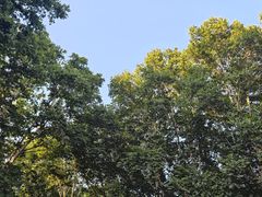 -河南省黄河迎宾馆