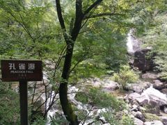 -花岩国家森林公园