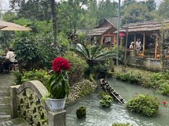 -青城甲(青城山店)