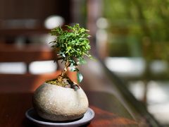 -小西家作(富力爱丁堡店)