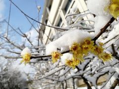 -江南大学(蠡湖校区)