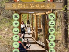-大岭沟猕猴桃谷风景区